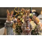 Nyuszifiú muffinnal