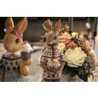 Nyuszifiú muffinnal